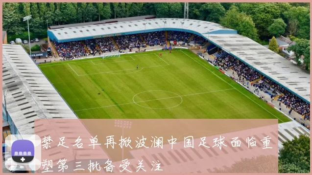 禁足名单再掀波澜中国足球面临重塑第三批备受关注