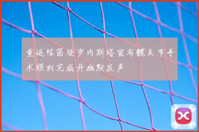 重返绿茵场岁内斯塔宣布髋关节手术顺利完成并幽默发声