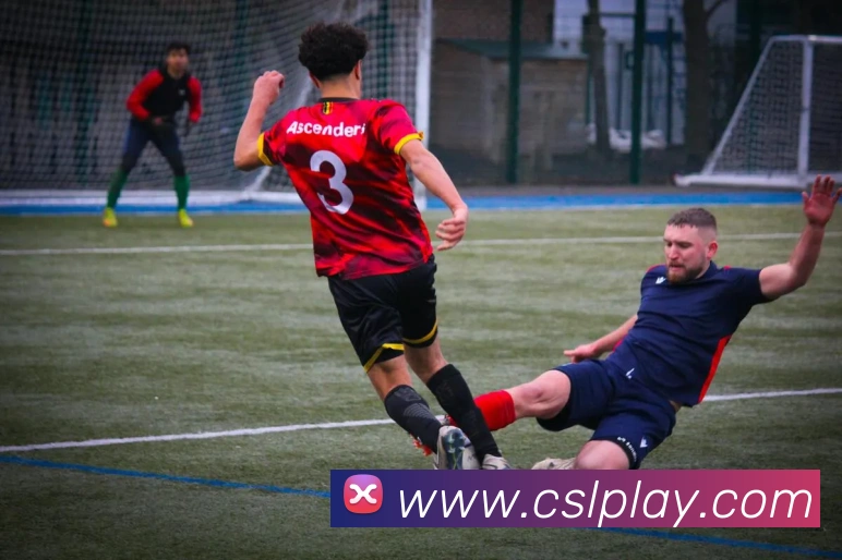 多媒体互动体验