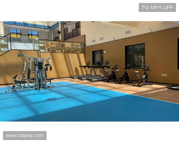 健身器材商用与家用的功能差异及如何根据场景进行科学选择 健身器材商用与家用的功能差异及如何根据场景进行科学选择