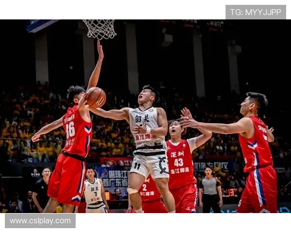 广东男篮CBA球员最新阵容名单与战术布局 广东男篮CBA球员最新阵容名单与战术布局
